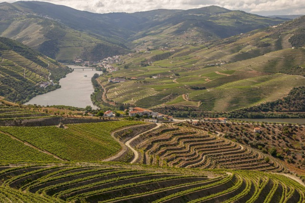 Douro Valley