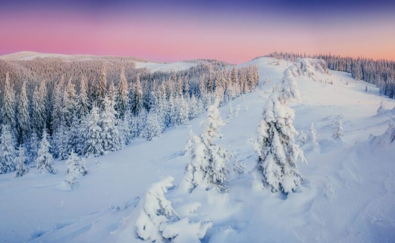 Lapland in winter