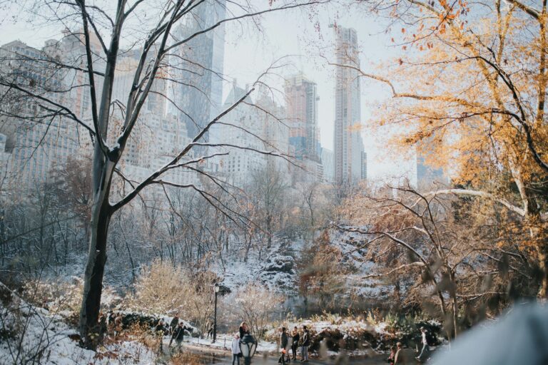 Winter In NYC - New York City Guide