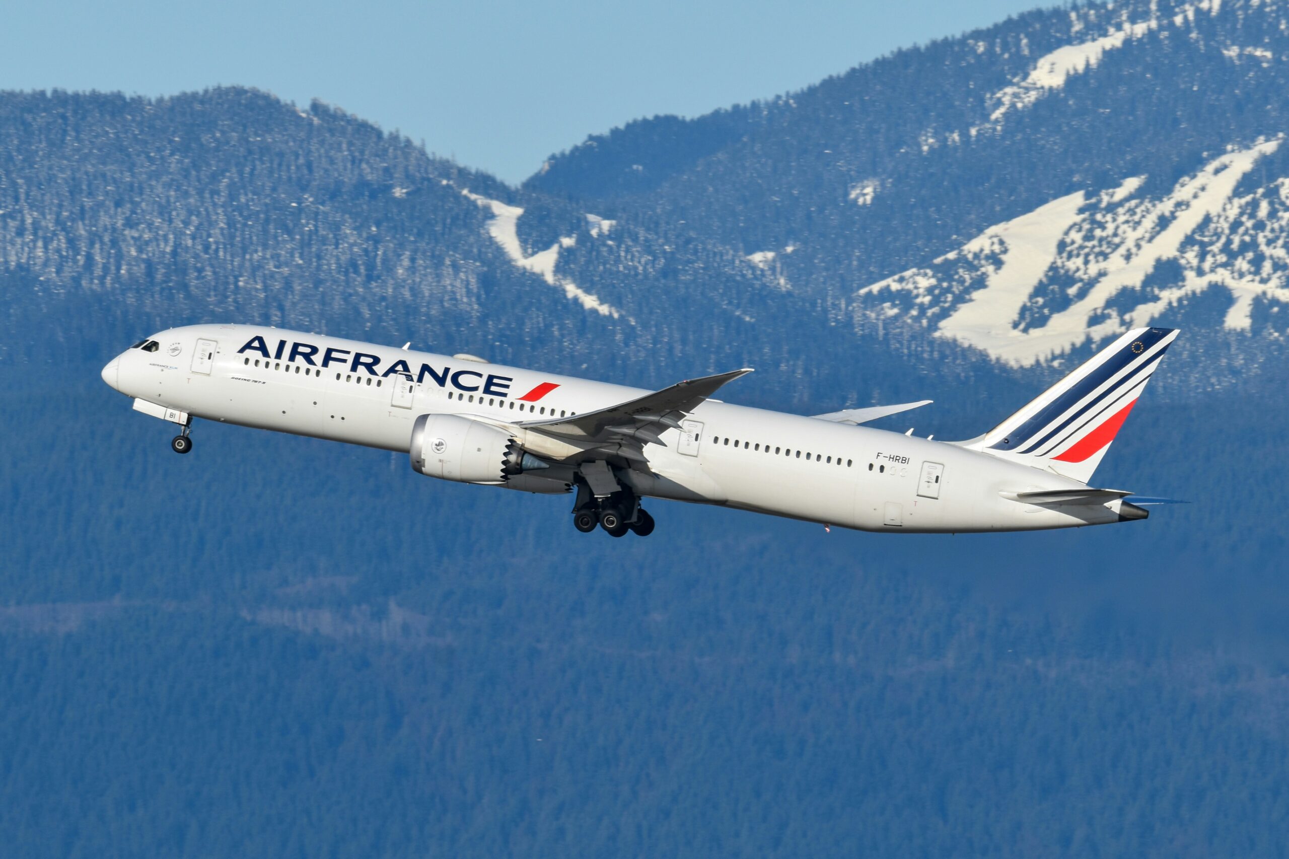 Air France aircraft in flight