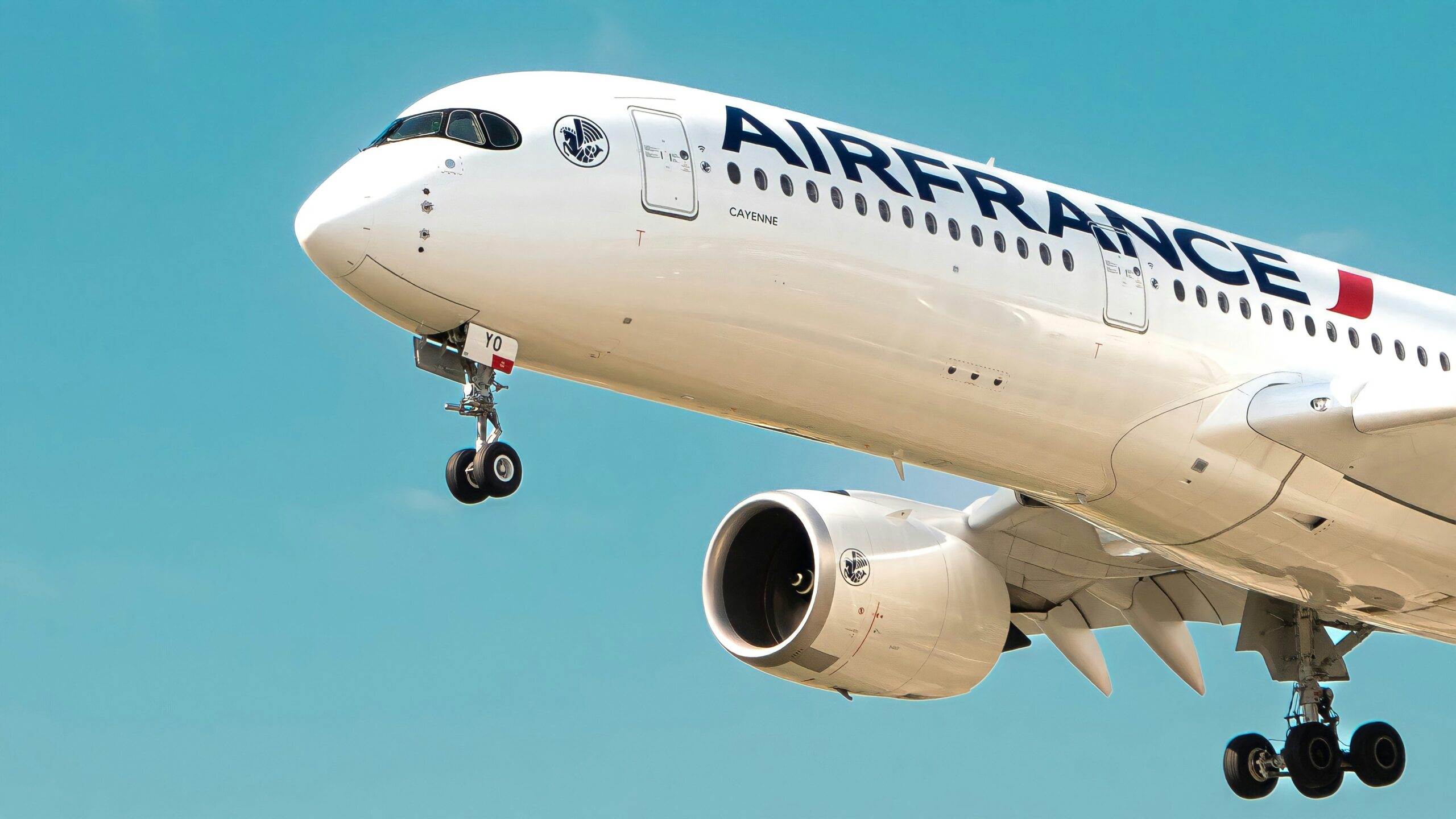 Air France aircraft in flight