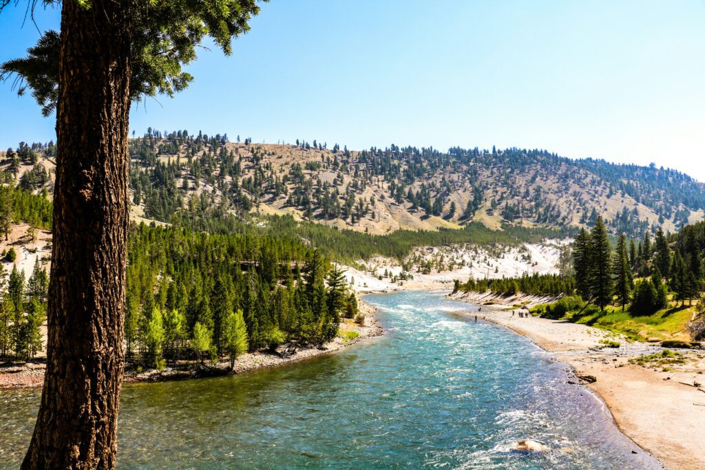 Yellowstone 