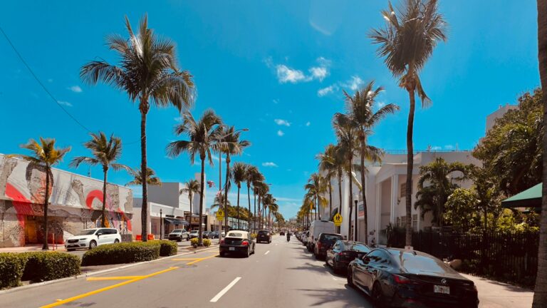 Miami in Spring