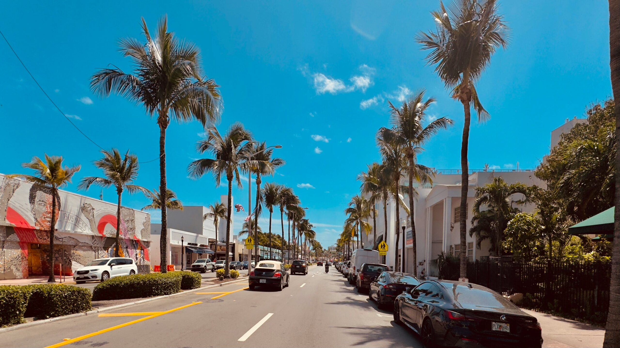 Miami in Spring